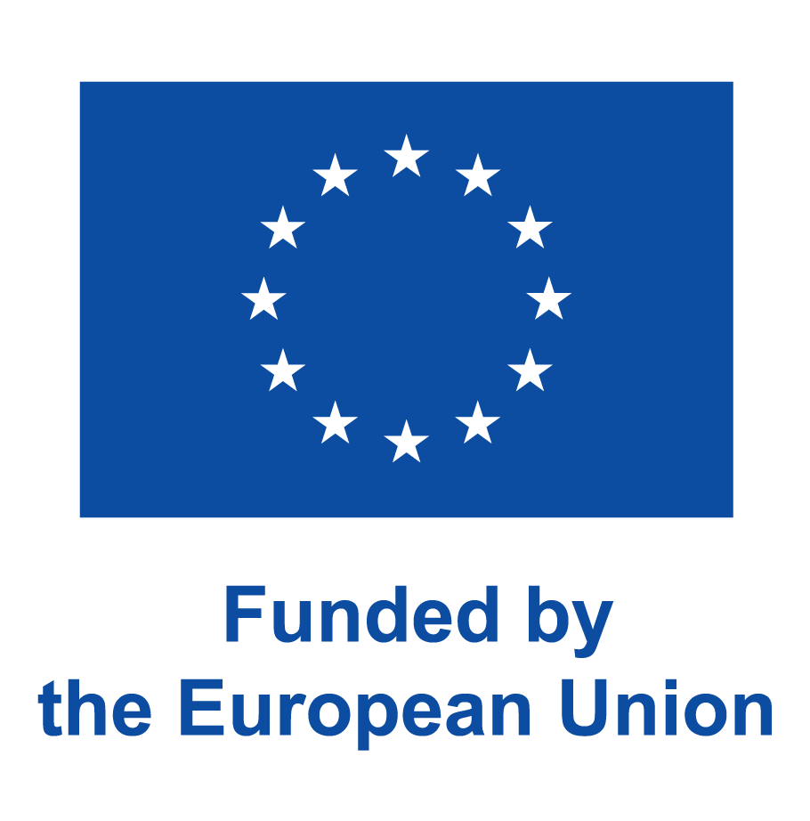 EN V Funded By The EU PANTONE